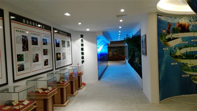 500平米展廳設(shè)計制作：現(xiàn)代/綠色，教育類展廳-桂林植物園科普展廳（免費使用）